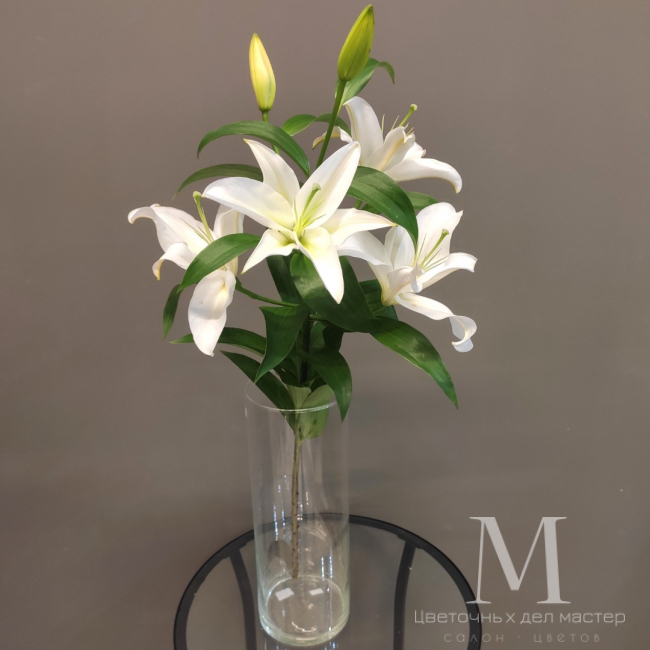 Лилия белая от «Цветочных дел Мастер»