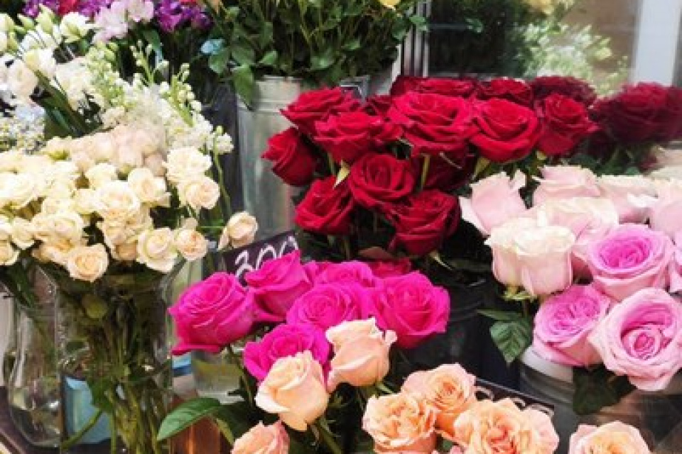 Наш магазин