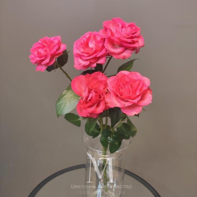 Роза кустовая розовая от интернет-магазина «Цветочных дел Мастер»