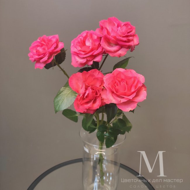 Роза кустовая розовая от «Цветочных дел Мастер»