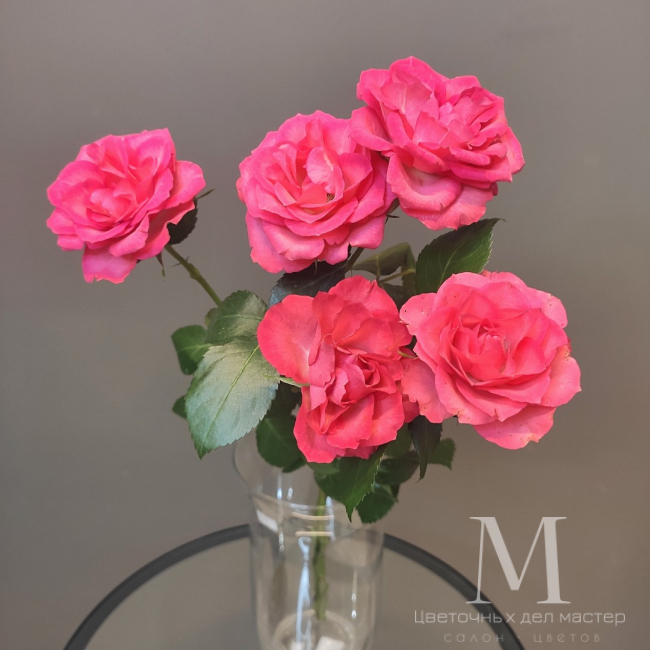 Роза кустовая розовая от «Цветочных дел Мастер»