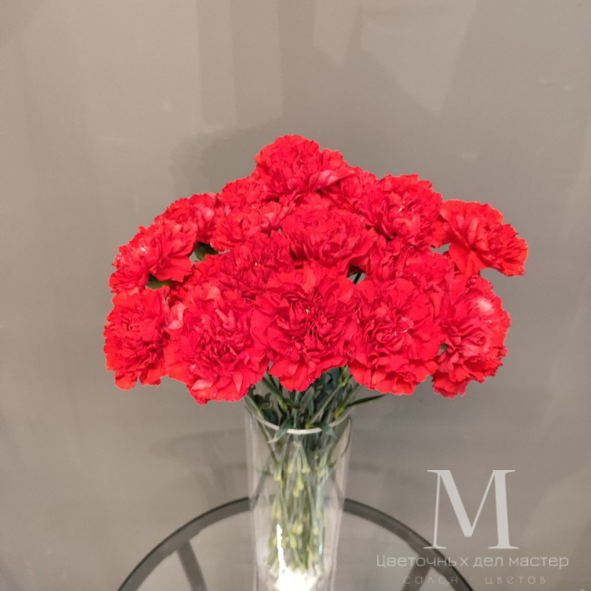 Букет  «20 красных гвоздик» от «Цветочных дел Мастер»