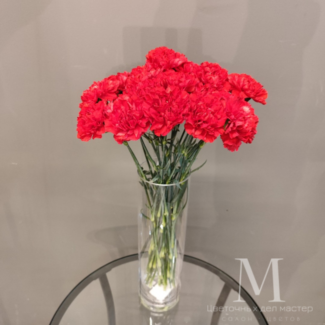 Букет  «20 красных гвоздик» от «Цветочных дел Мастер»
