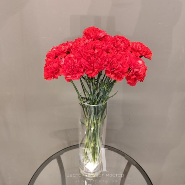 Букет  «20 красных гвоздик» от интернет-магазина «Цветочных дел Мастер»