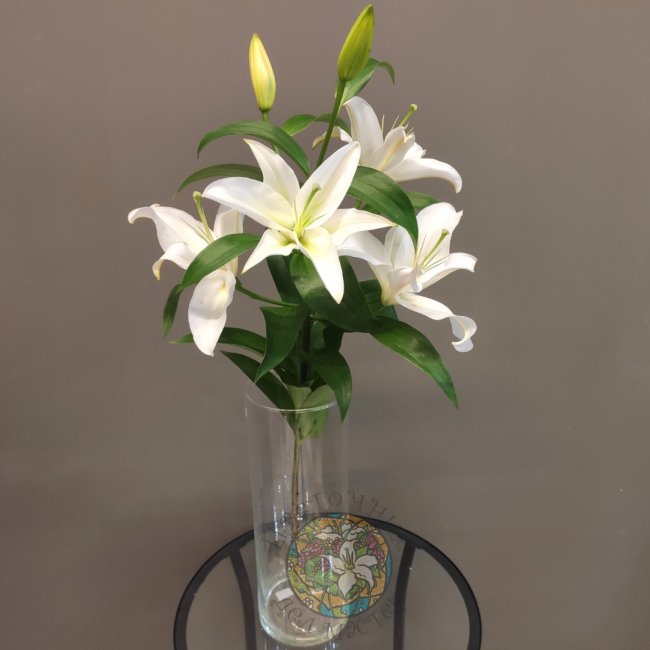 Лилия белая от «Цветочных дел Мастер»