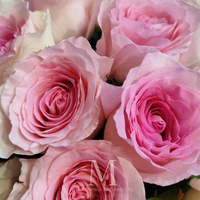 Букет роз «Нежный поцелуй» от интернет-магазина «Цветочных дел Мастер»