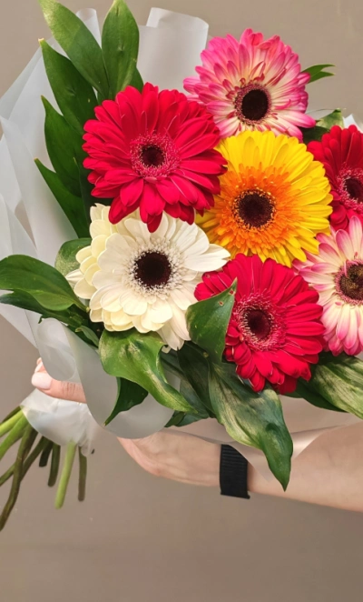 Букет из гербер «Семь чудес»