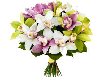Букет «Разноцветные орхидеи»