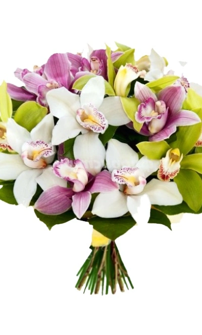 Букет «Разноцветные орхидеи»