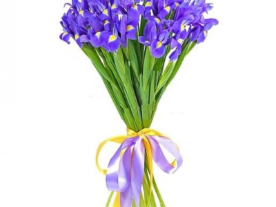 Букет «25 синих ирисов»