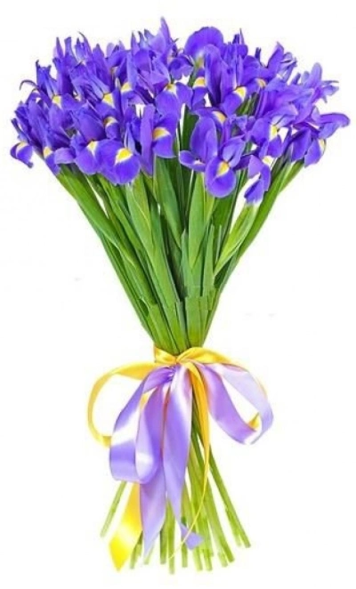 Букет «25 синих ирисов»