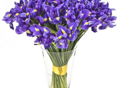 Букет «Пышный ирис!»