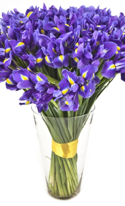 Букет «Пышный ирис!»