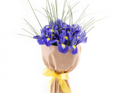 Монобукет из ирисов «Бэкки»