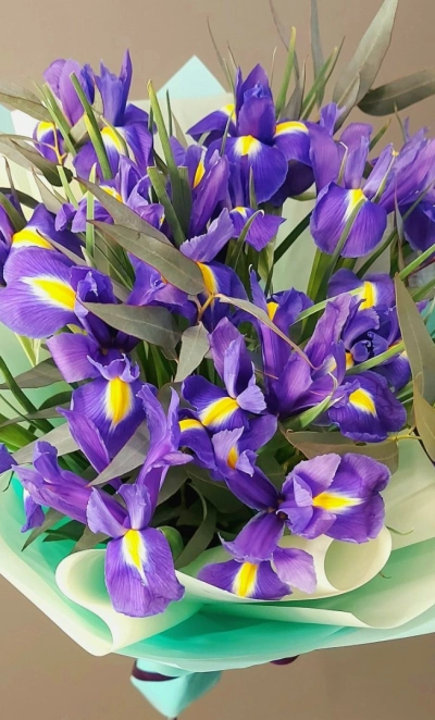 Букетупа «Благородные ирисы»