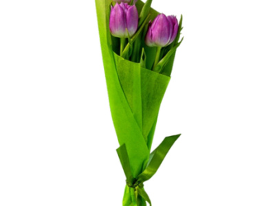 Букет «3 тюльпана»