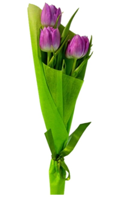 Букет «3 тюльпана»