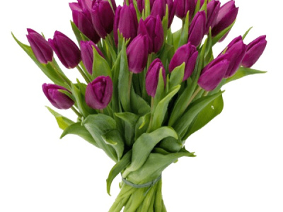 Букет «Здравствуй»