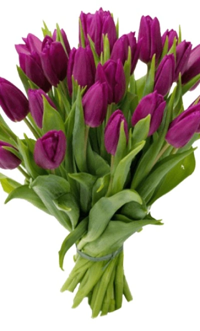 Букет «Здравствуй»