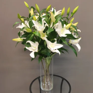 Монобукет «7 лилий»