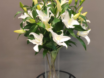 Монобукет «7 лилий»