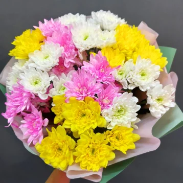 Букет кустовых хризантем «Мозаика»