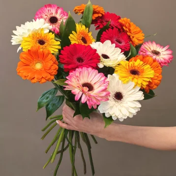 Монобукет гербер «Яркие герберы»