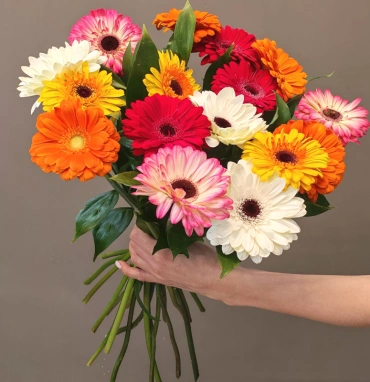 Монобукет гербер «Яркие герберы»