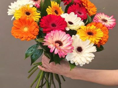 Монобукет гербер «Яркие герберы»