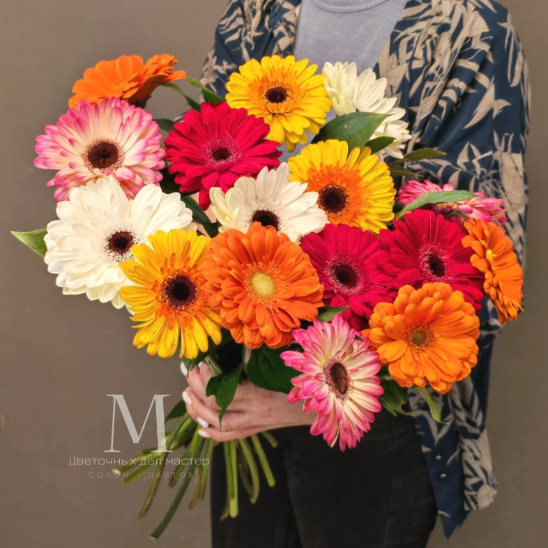 Монобукет гербер &laquo;Яркие герберы&raquo;