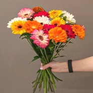 Монобукет гербер &laquo;Яркие герберы&raquo; 3