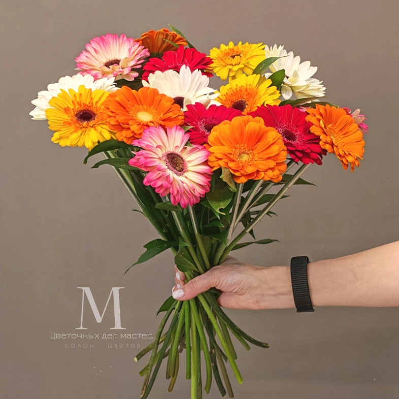 Монобукет гербер &laquo;Яркие герберы&raquo;