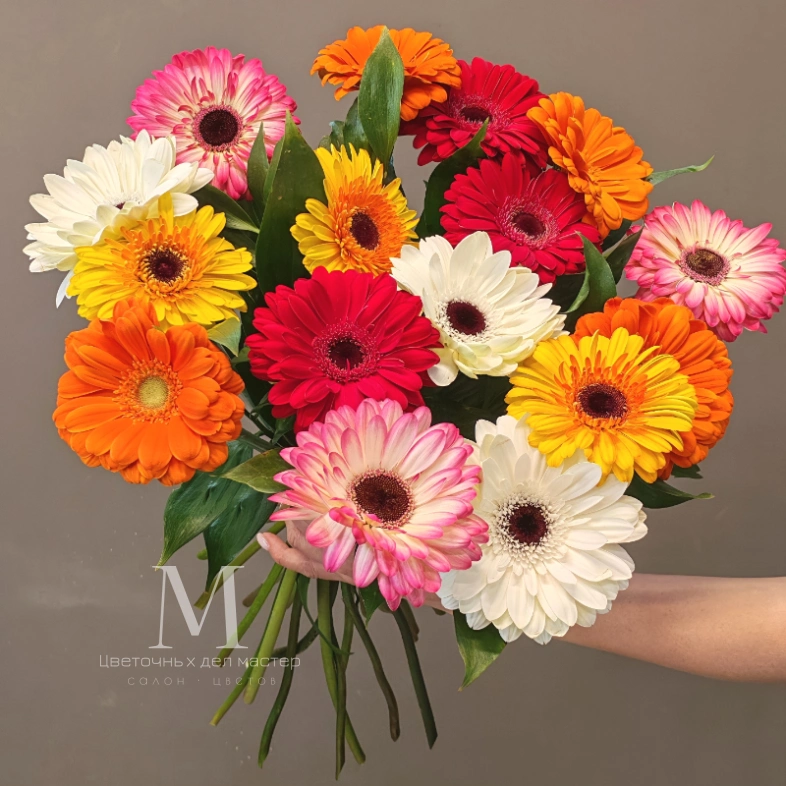 Монобукет гербер &laquo;Яркие герберы&raquo;