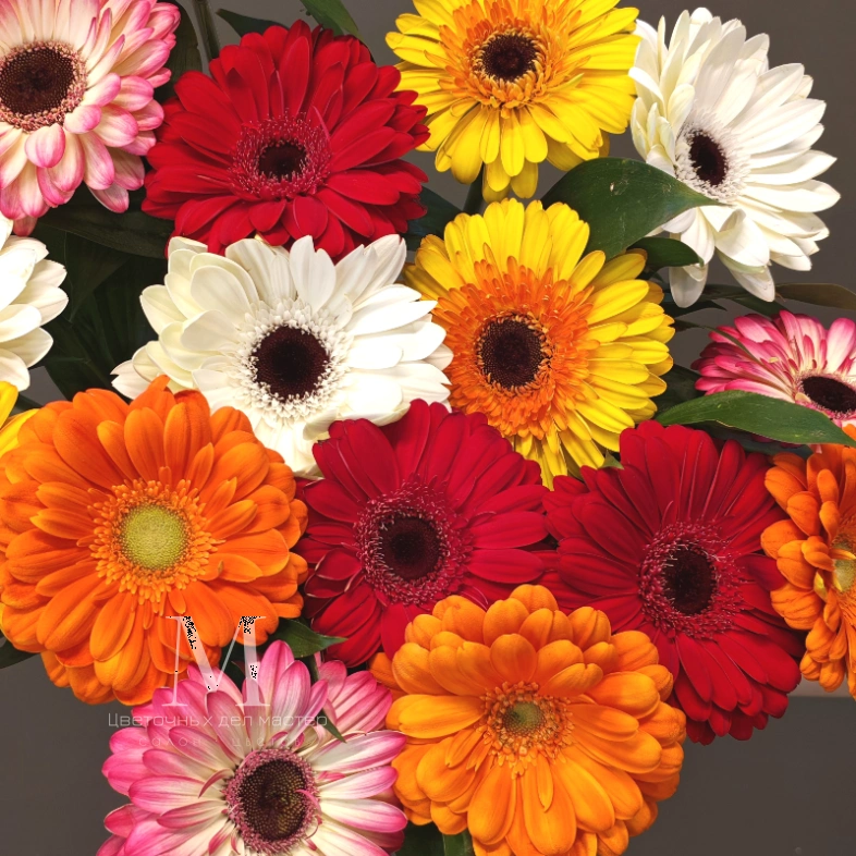 Монобукет гербер &laquo;Яркие герберы&raquo;