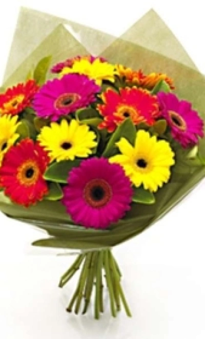 Монобукет гербер «Яркие герберы»