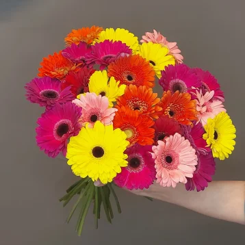 Букет «25 гербер»