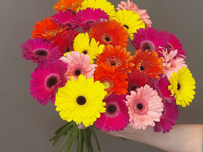 Букет «25 гербер»