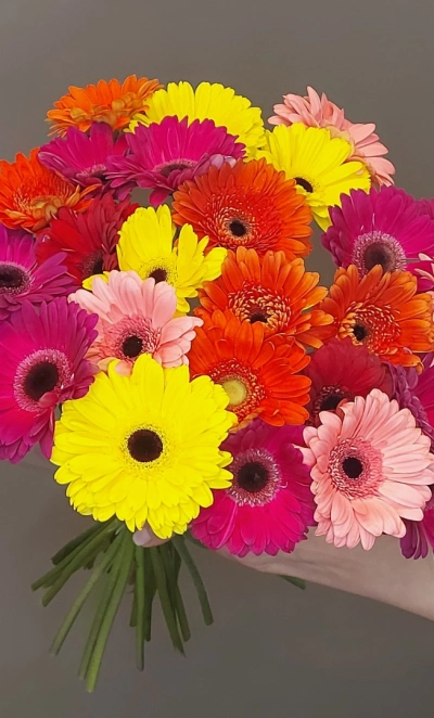 Букет «25 гербер»