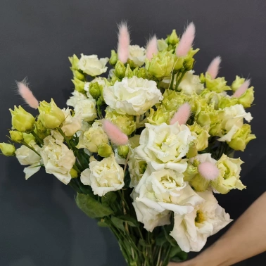 Монобукет «Нежная эустома»