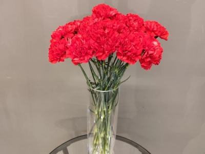 Букет  «20 красных гвоздик»