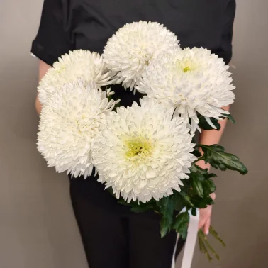 Монобукет «5 Магнум»