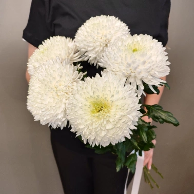 Монобукет «5 Магнум»