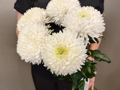 Монобукет «5 Магнум»