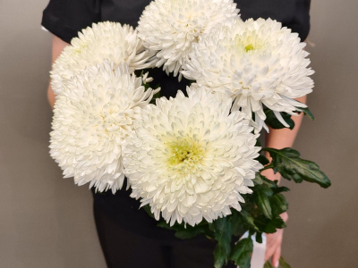 Монобукет «5 Магнум»