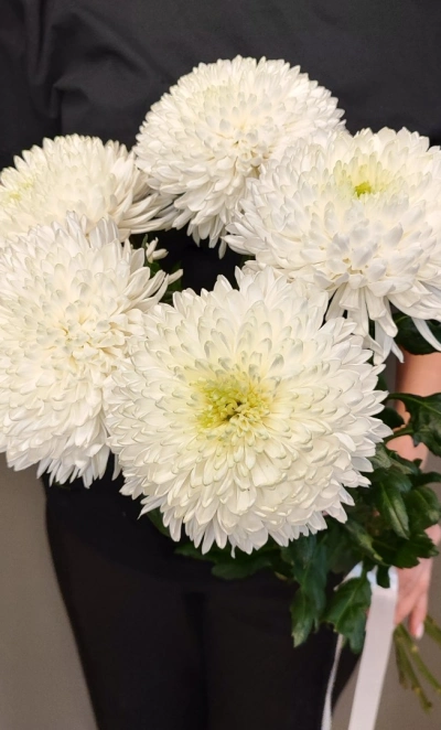 Монобукет «5 Магнум»