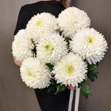 Монобукет «из 7 крупных хризантем»