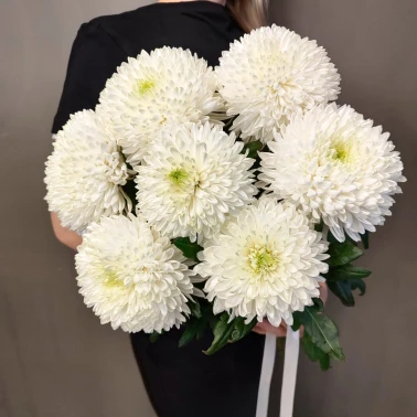 Монобукет «из 7 крупных хризантем»