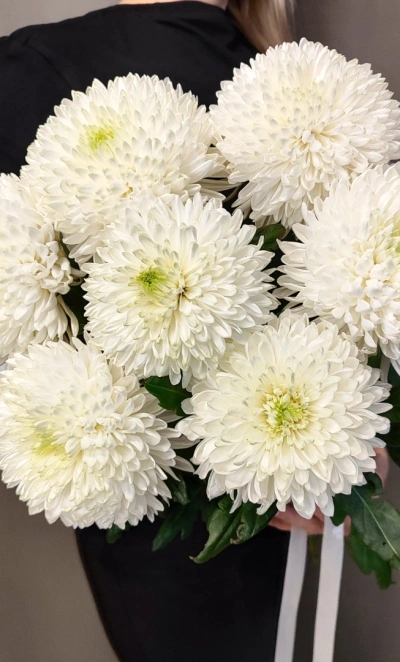 Монобукет «из 7 крупных хризантем»