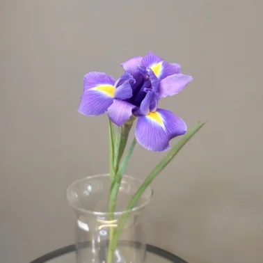 Синий ирис
