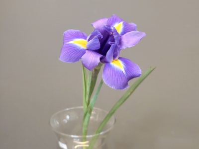 Голубой ирис